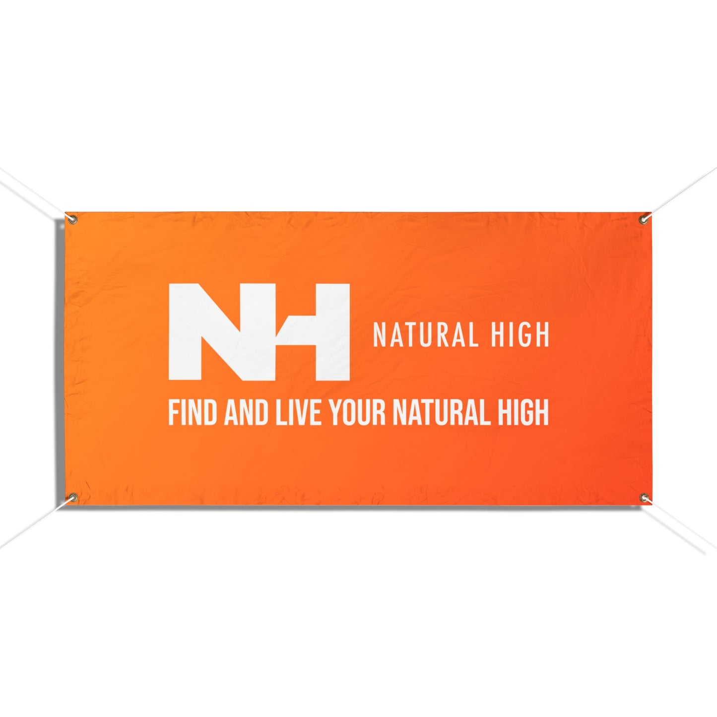 NH Logo Banner