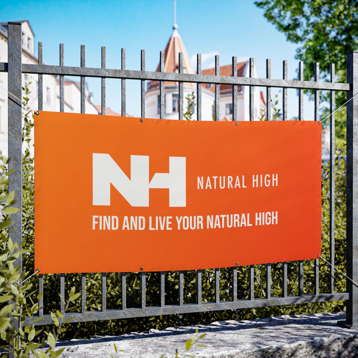 NH Logo Banner