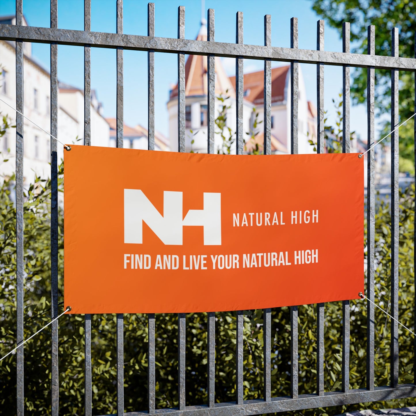 NH Logo Banner