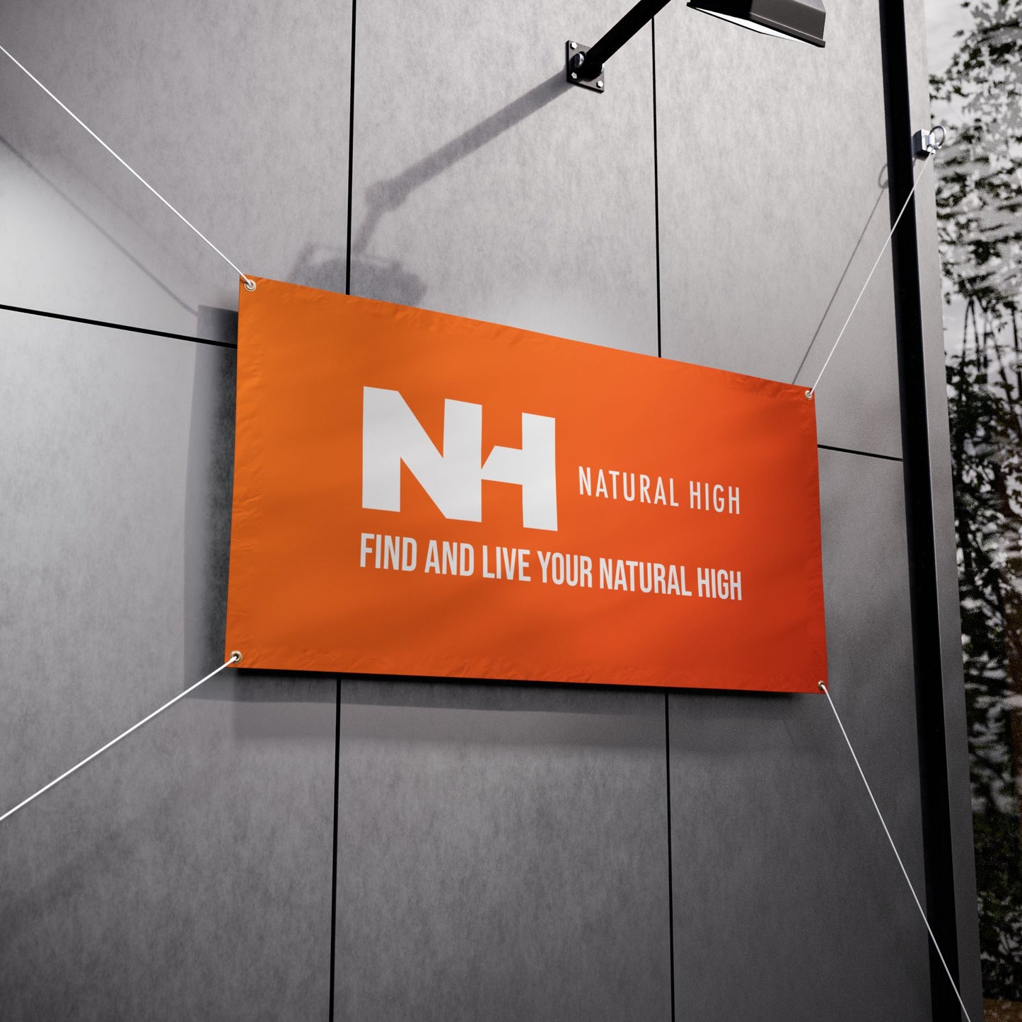 NH Logo Banner